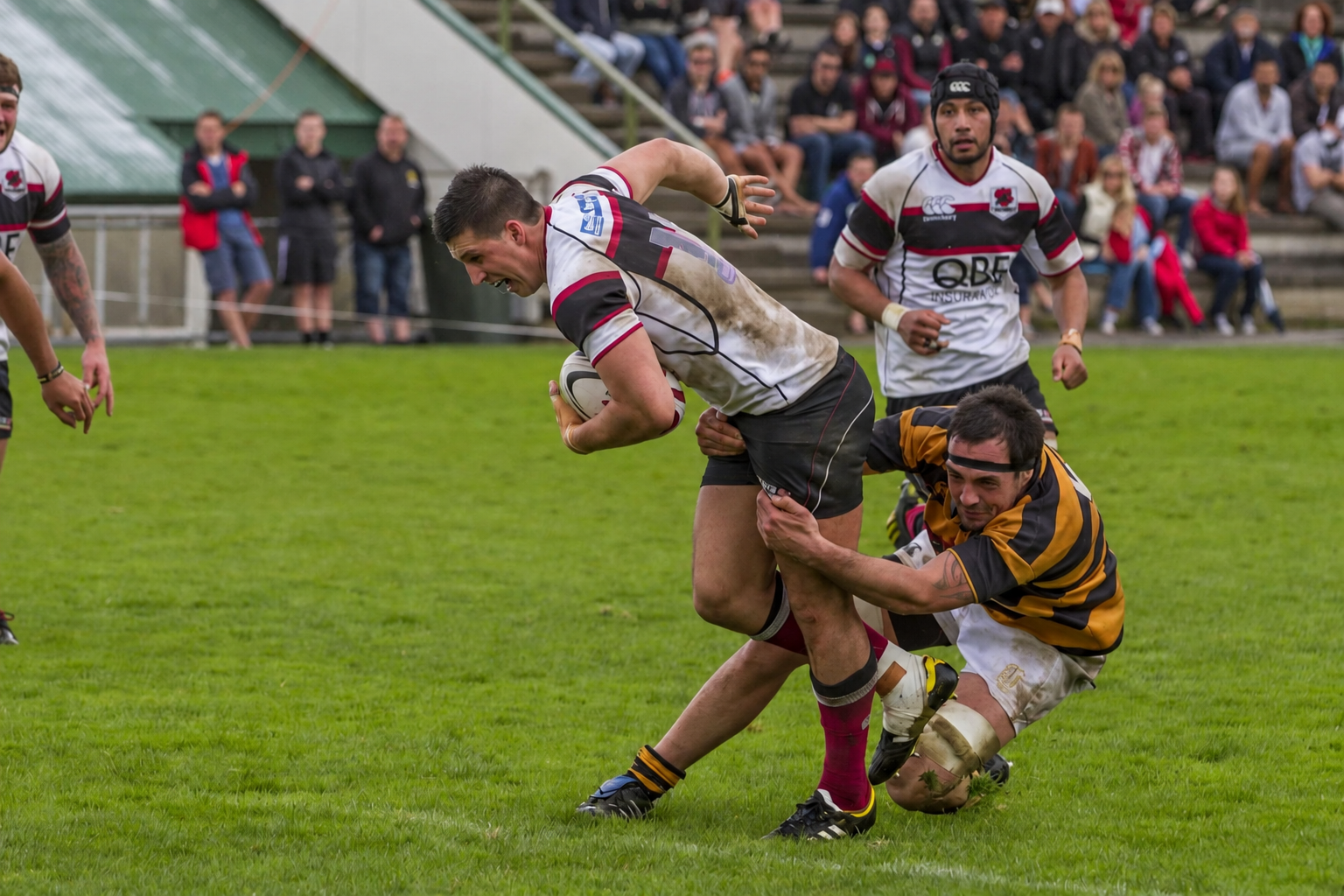 Sam Barton playing for North Harbour against Taranaki, carrying the rugby ball.